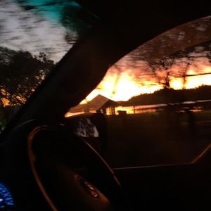 Meet your Posher, Lily